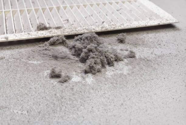 Best General Air Duct Cleaning  in Chain Lake, WA